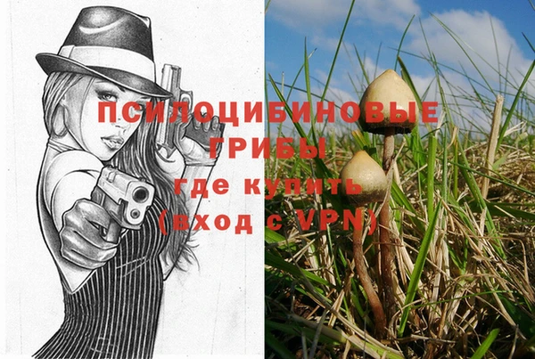 а пвп мука Ладушкин