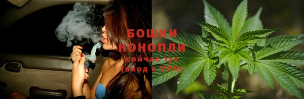 тгк Армянск