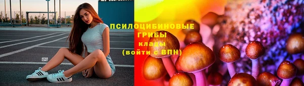 героин Лагань