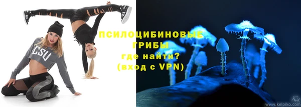 твердый Арсеньев