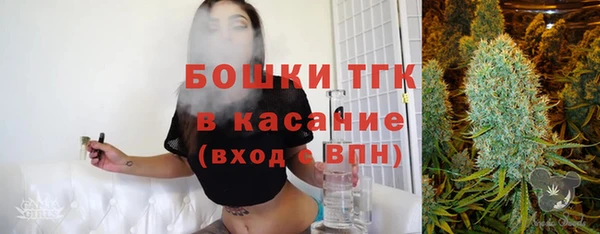 твердый Арсеньев