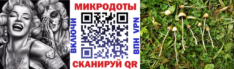 нарко площадка телеграм  Хвалынск  Галлюциногенные грибы Magic Shrooms  продажа наркотиков 