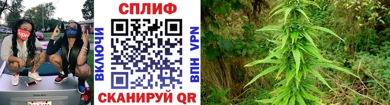 ссылка на мегу ТОР  Хвалынск  Каннабис индика 
